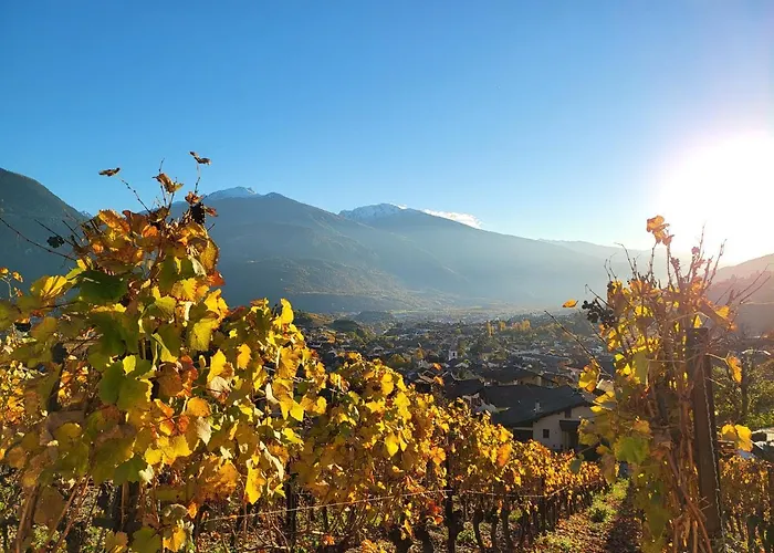 Des Fontanettes شقة *